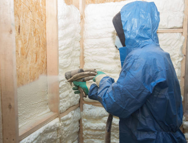 Best Garage Insulation  in Hesston, KS